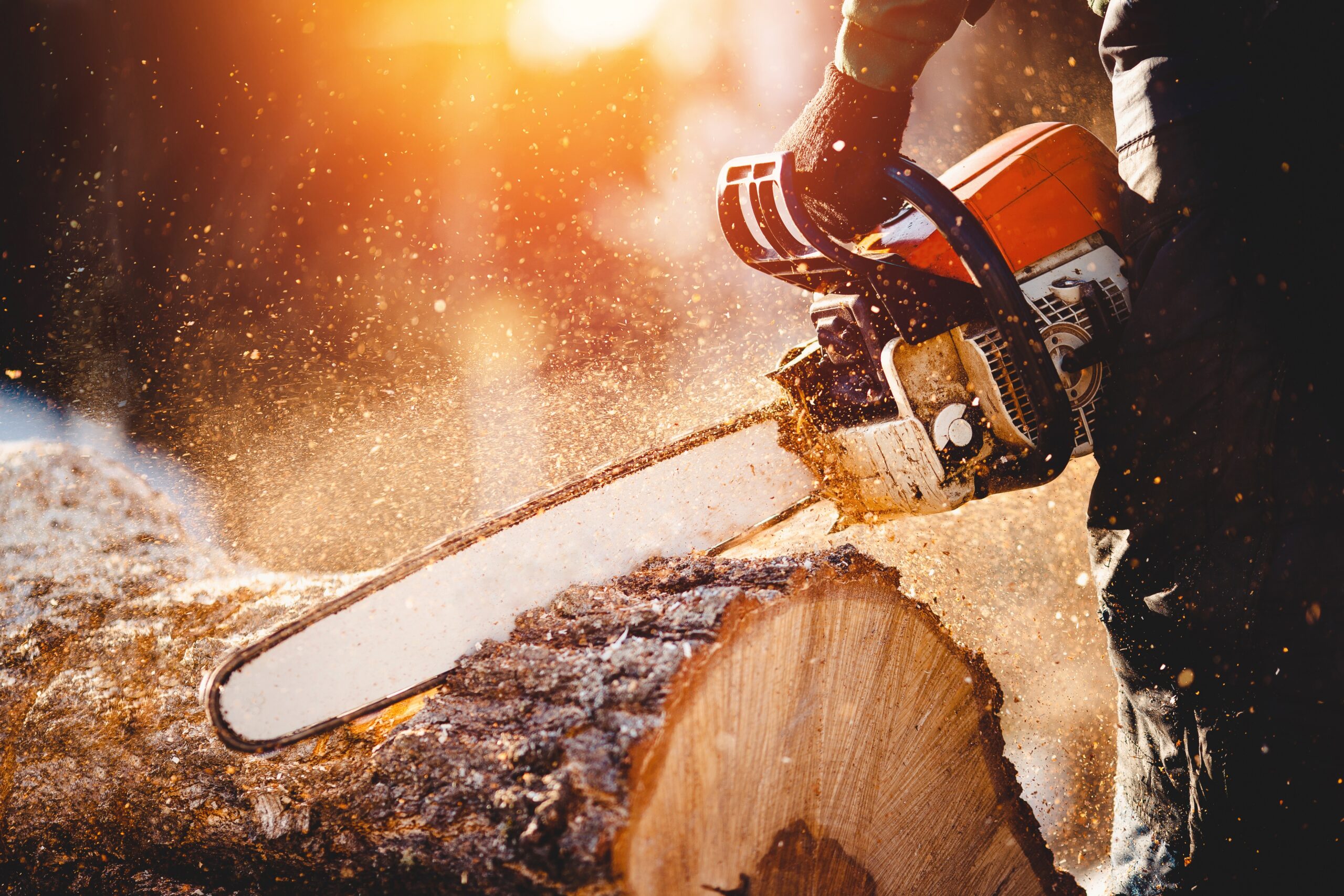 If You Want To Reduce Cancellations Then You Need To Get Out Your Chainsaw….